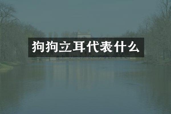 狗狗立耳代表什么
