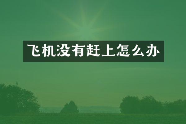 飞机没有赶上怎么办