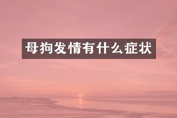 母狗发情有什么症状