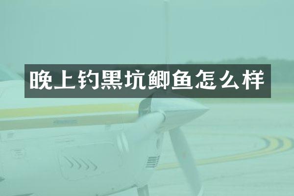 晚上钓黑坑鲫鱼怎么样