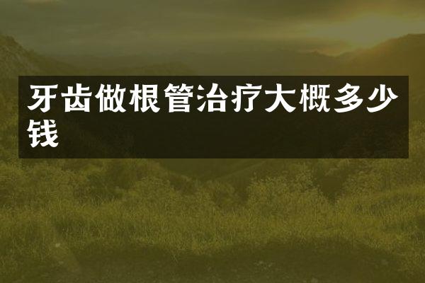牙齿做根管治疗大概多少钱