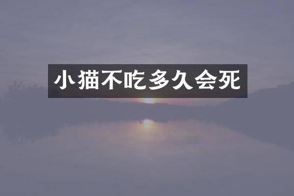 小猫不吃多久会死
