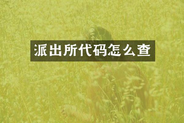 派出所代码怎么查