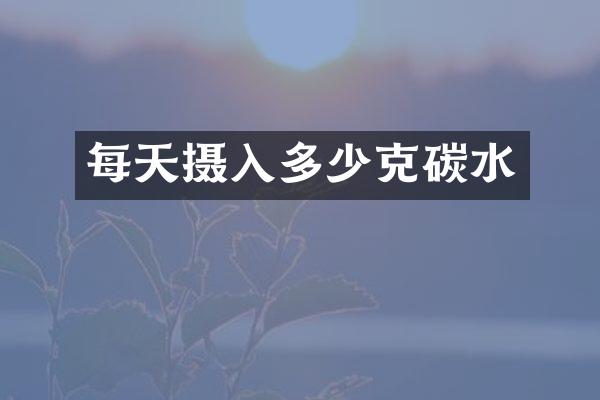 每天摄入多少克碳水