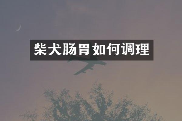 柴犬肠胃如何调理