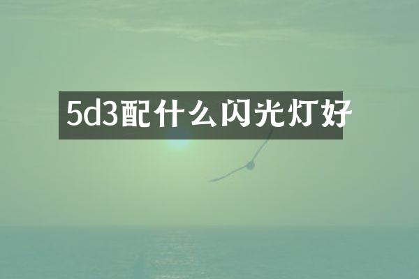 5d3闪光灯好