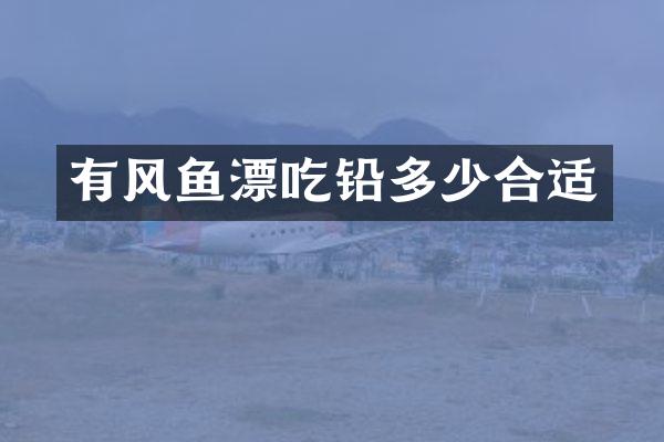 有风鱼漂吃铅多少合适