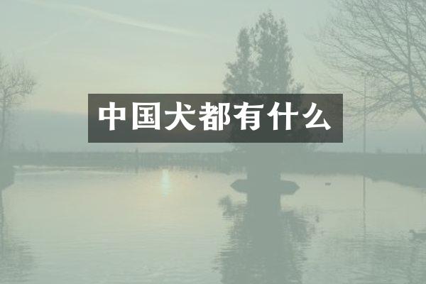 中国犬都有什么