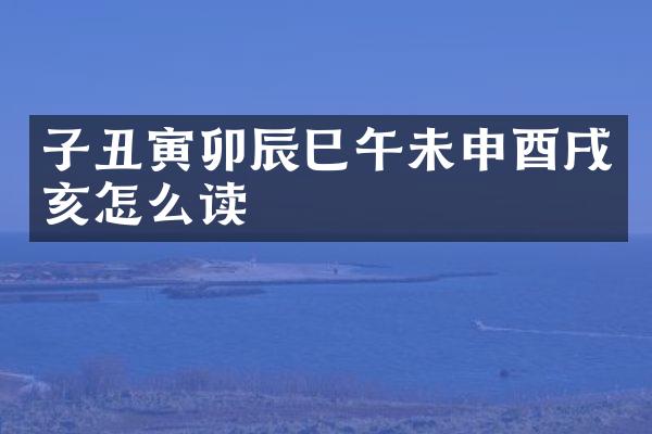 子丑寅卯辰巳午未申酉戌亥怎么读