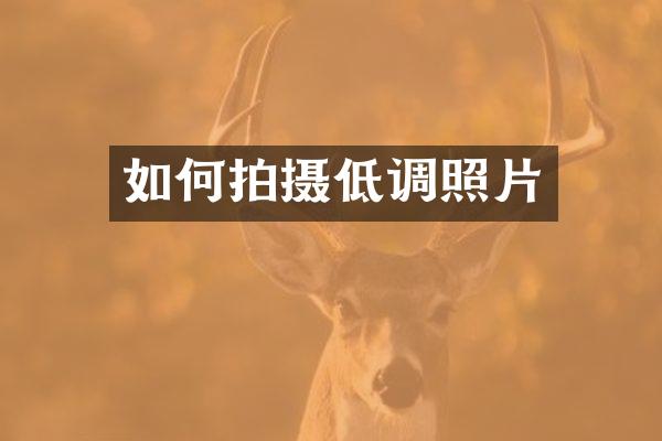 如何拍摄低调照片