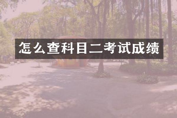 怎么查科目二考试成绩