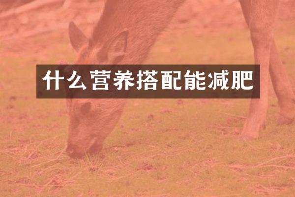 什么营养搭配能减肥