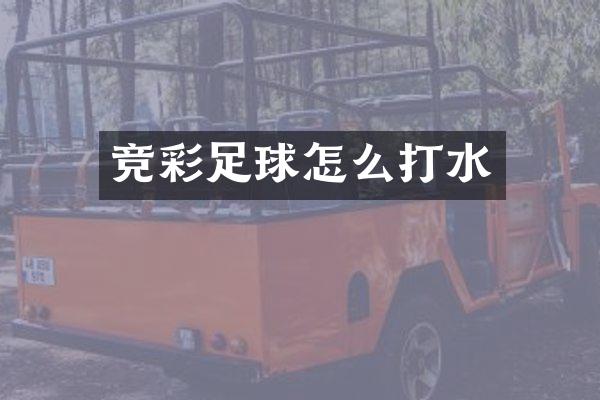 竞彩足球怎么打水