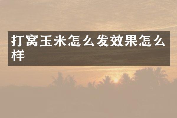 打窝玉米怎么发效果怎么样