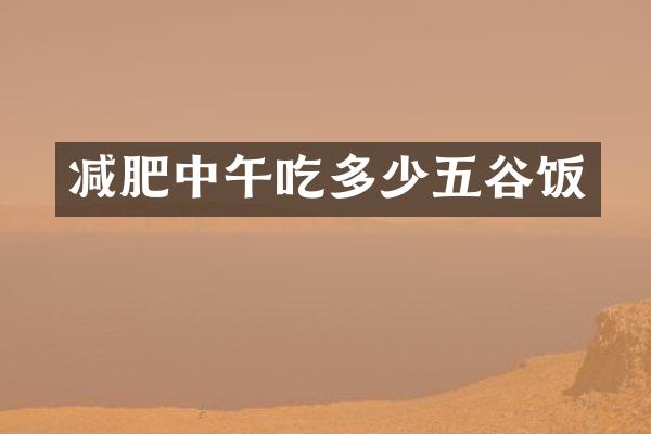 减肥中午吃多少五谷饭