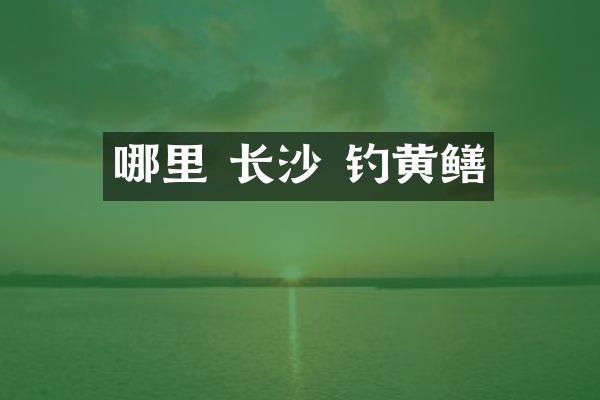 哪里 长沙 钓黄鳝
