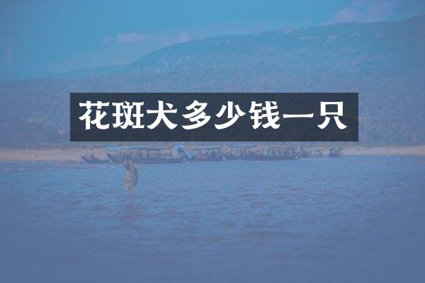 花斑犬多少钱一只