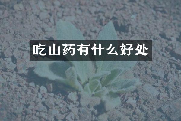 吃山药有什么好处