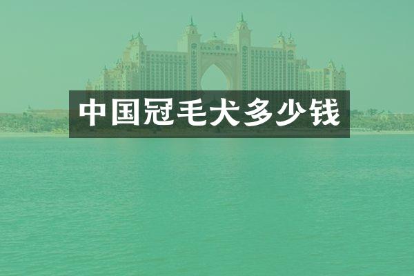 中国冠毛犬多少钱