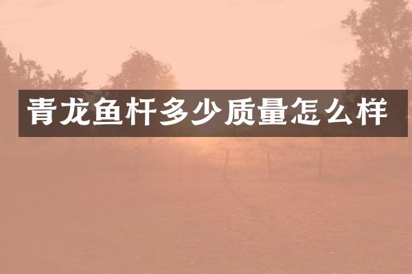 青龙鱼杆多少质量怎么样