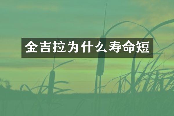 金吉拉为什么寿命短
