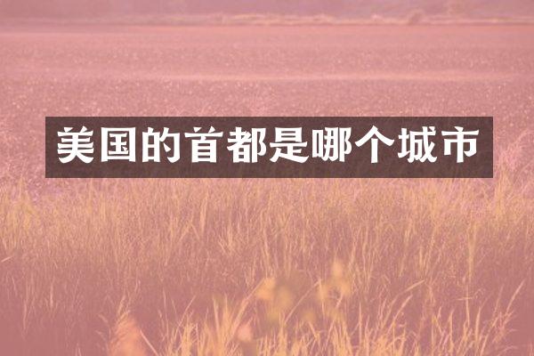 美国的首都是哪个城市