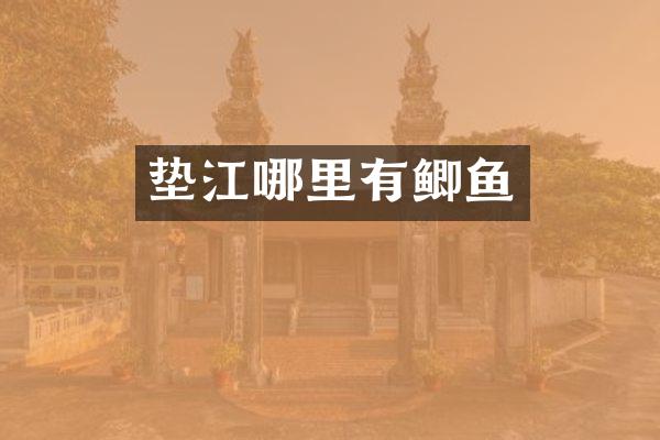 垫江哪里有鲫鱼