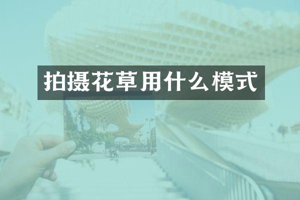 拍摄花草用什么模式