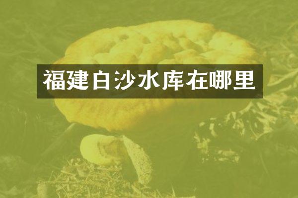 福建白沙水库在哪里