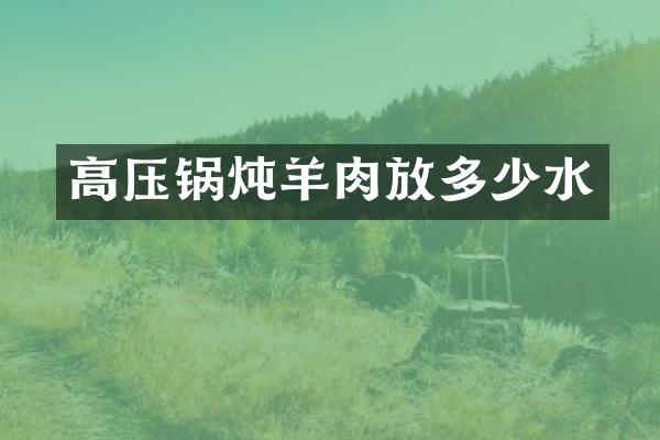 高压锅炖羊肉放多少水