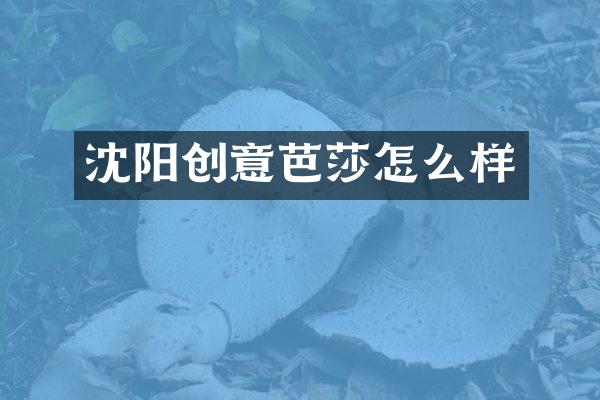 沈阳创意芭莎怎么样