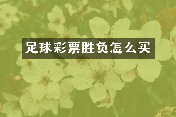足球彩票胜负怎么买