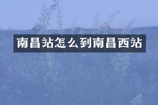 南昌站怎么到南昌西站