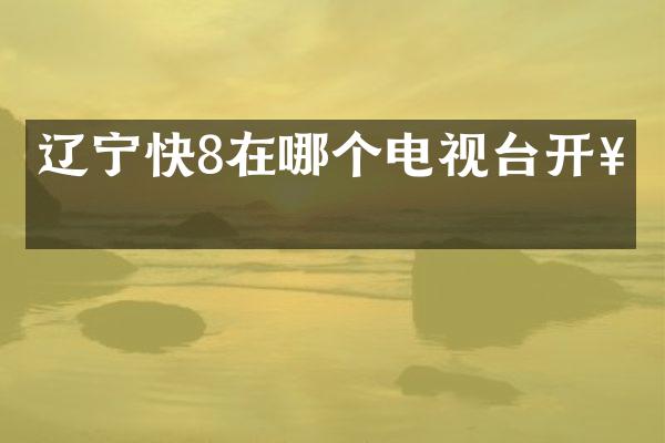 辽宁快8在哪个电视台开奖