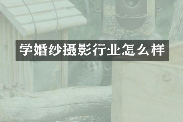 学婚纱摄影行业怎么样