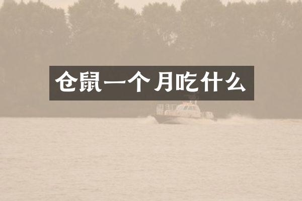 仓鼠一个月吃什么