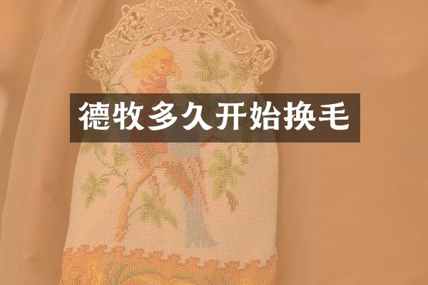 德牧多久开始换毛