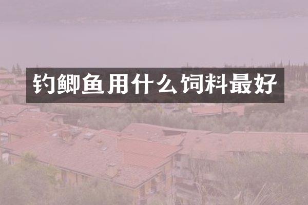 钓鲫鱼用什么饲料最好