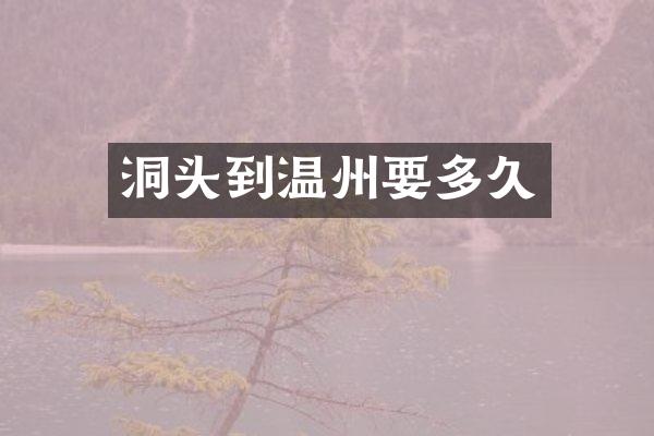 洞头到温州要多久