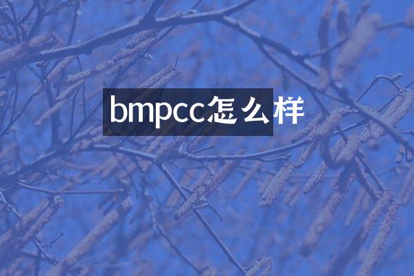 bmpcc怎么样