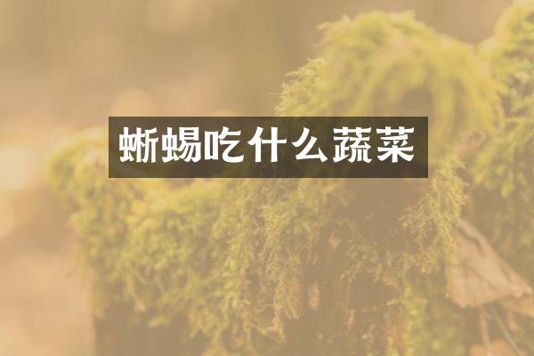 蜥蜴吃什么蔬菜