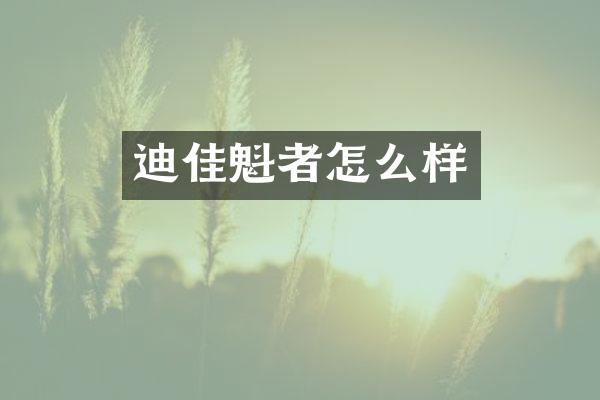 迪佳魁者怎么样