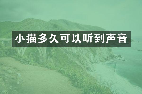 小猫多久可以听到声音