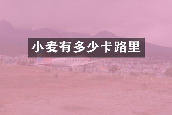 小麦有多少卡路里