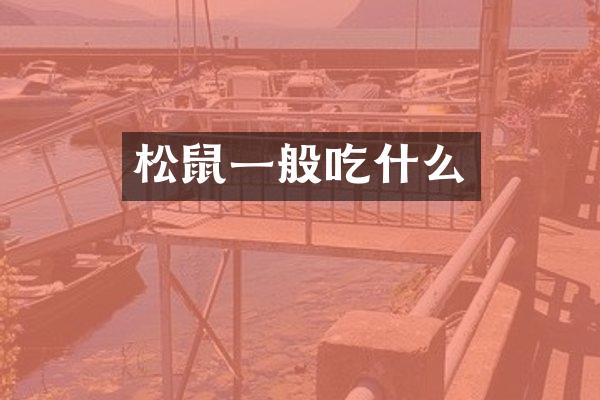 松鼠一般吃什么