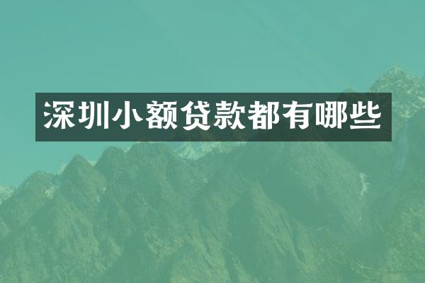 深圳小额贷款都有哪些