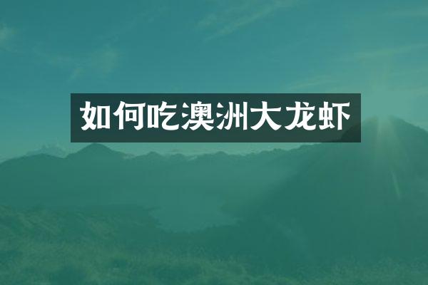 如何吃澳洲大龙虾