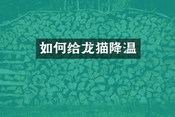 如何给龙猫降温