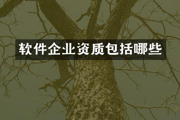 软件企业资质包括哪些