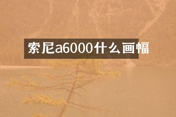 索尼a6000什么画幅